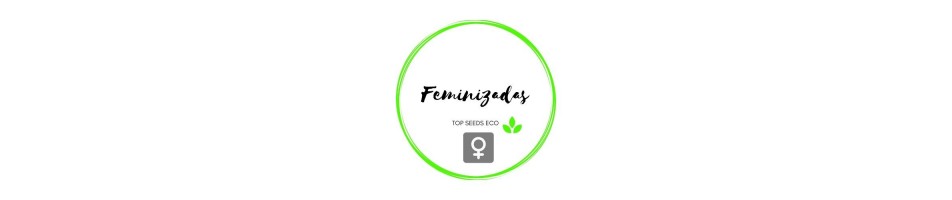 Semillas Feminizadas