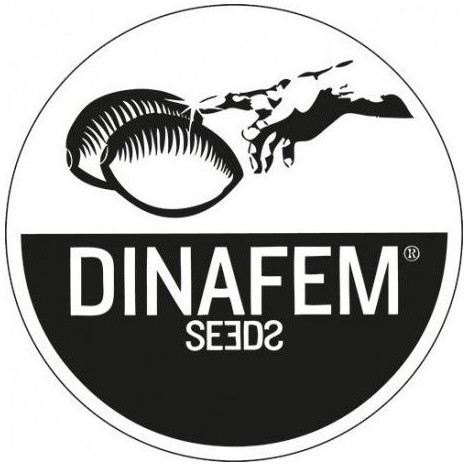 Dinafem Seeds