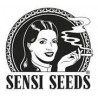 Sensi Seeds